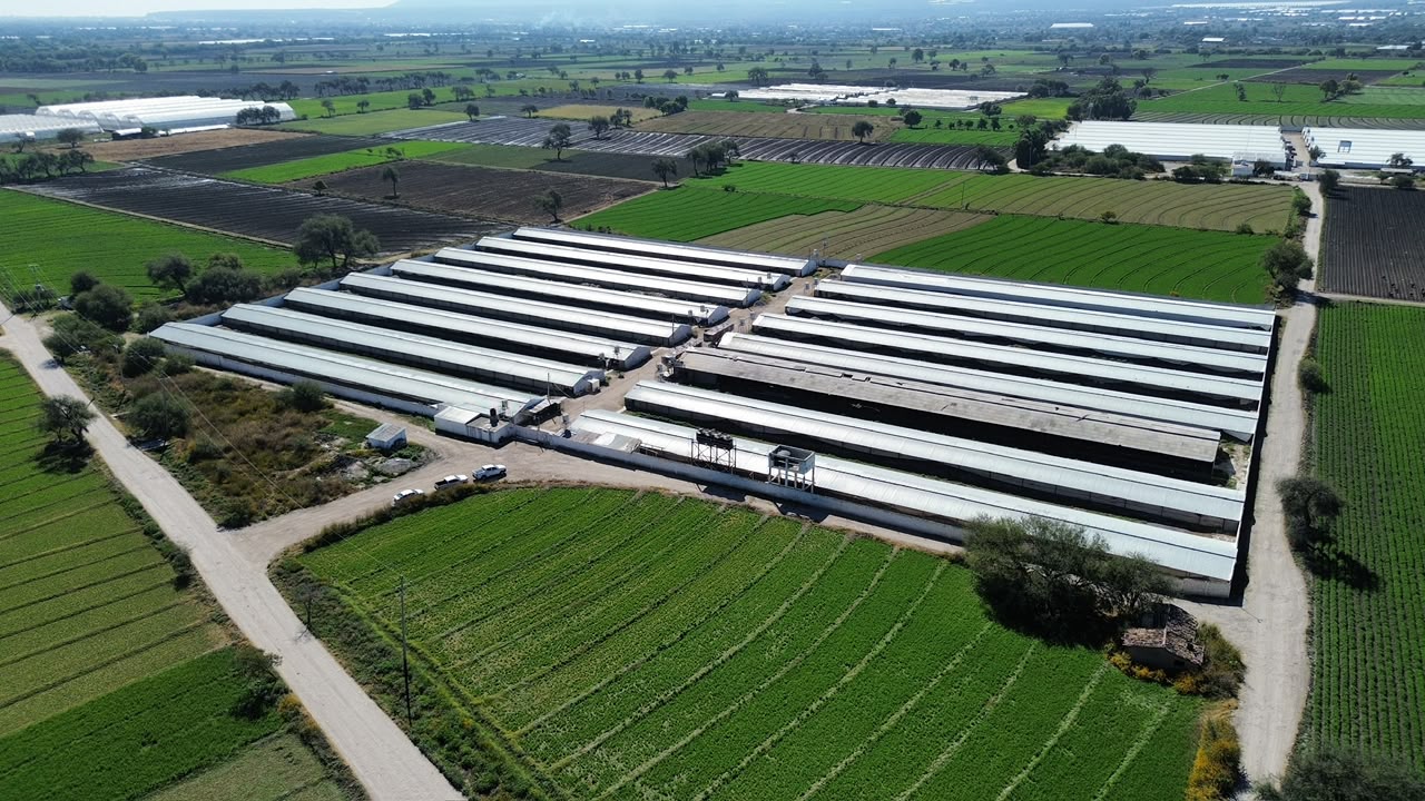 Vista aérea de un complejo agroindustrial rodeado de campos