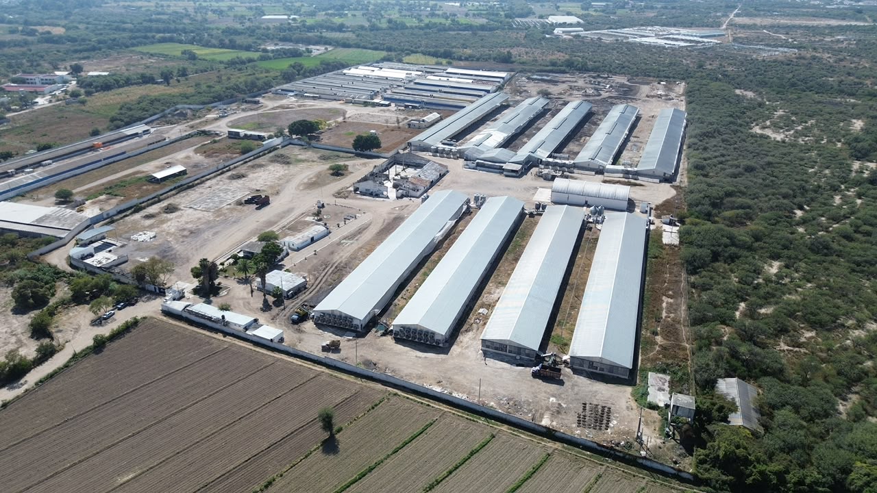 Vista aérea general de un complejo de naves agroindustriales