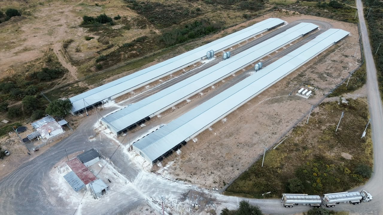Vista aérea de tres naves agroindustriales lineales