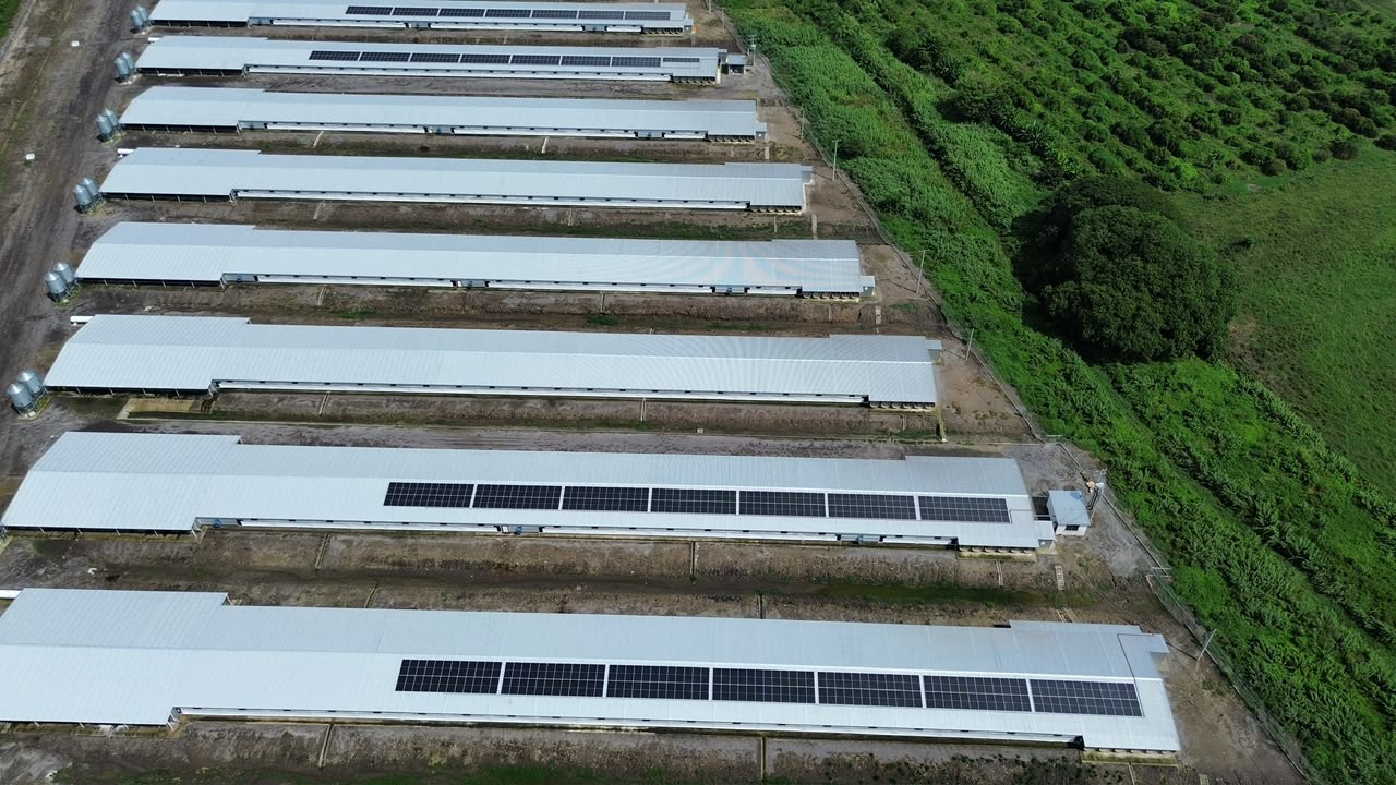 Vista aérea de módulos fotovoltaicos instalados sobre cubiertas industriales